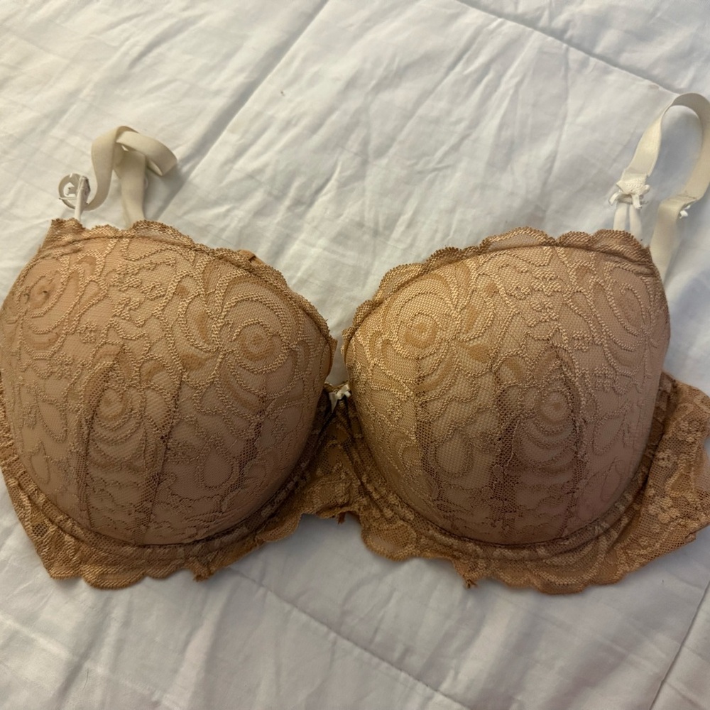 Candie's Lace Bra - Brown